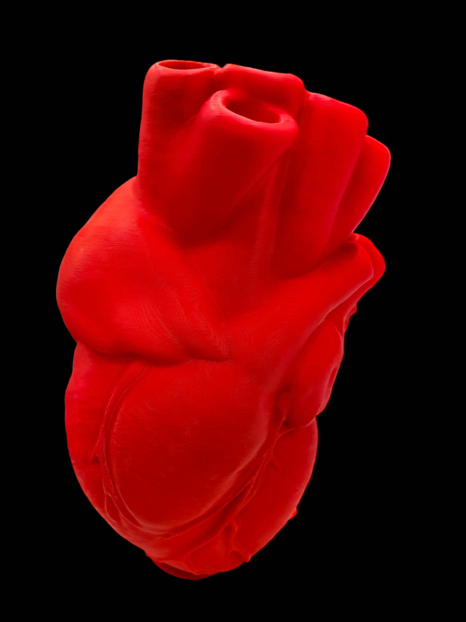 Florero de Corazón en Impresión 3D